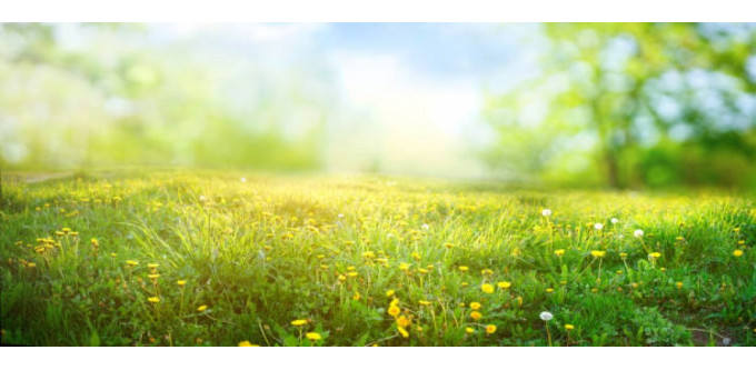 banner-big-1 text-center color-white