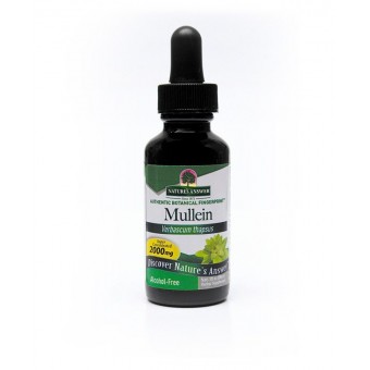 Nature's Answer Divozel veľkokvetý bylinné kvapky 30 ml Nature's Answer Divozel veľkokvetý bylinné kvapky 30 ml