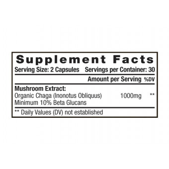 Eidon Bio organic huba Chaga extrakt 60 kapsúl Eidon Bio organic huba Chaga extrakt 60 kapsúl