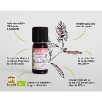 terra etica Bio esenciálny olej Niaouli z Madagaskaru, 10 ml terra etica Bio esenciálny olej Niaouli z Madagaskaru, 10 ml