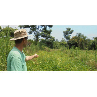 terra etica Bio esenciálny olej sladký pomaranč, 10 ml terra etica Bio esenciálny olej sladký pomaranč, 10 ml